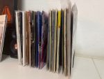 Présentoir à vinyles modulaire