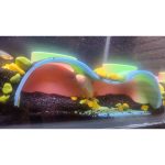 Grotte d'aquarium — grand format