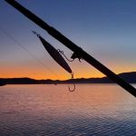 Porte-hameçons pour canne à pêche — lot de 6