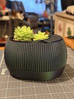 Pot à réserve d'eau avec témoin de niveau — lot de 2