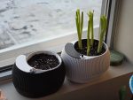 Pot à réserve d'eau avec témoin de niveau — lot de 2