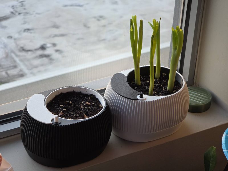 Pot à réserve d'eau avec témoin de niveau — lot de 2
