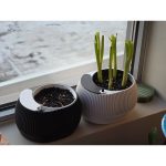 Pot à réserve d'eau avec témoin de niveau — lot de 2