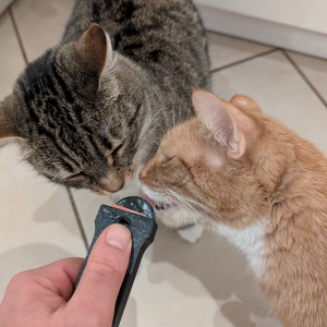 Distributeur de friandises à lécher pour chat