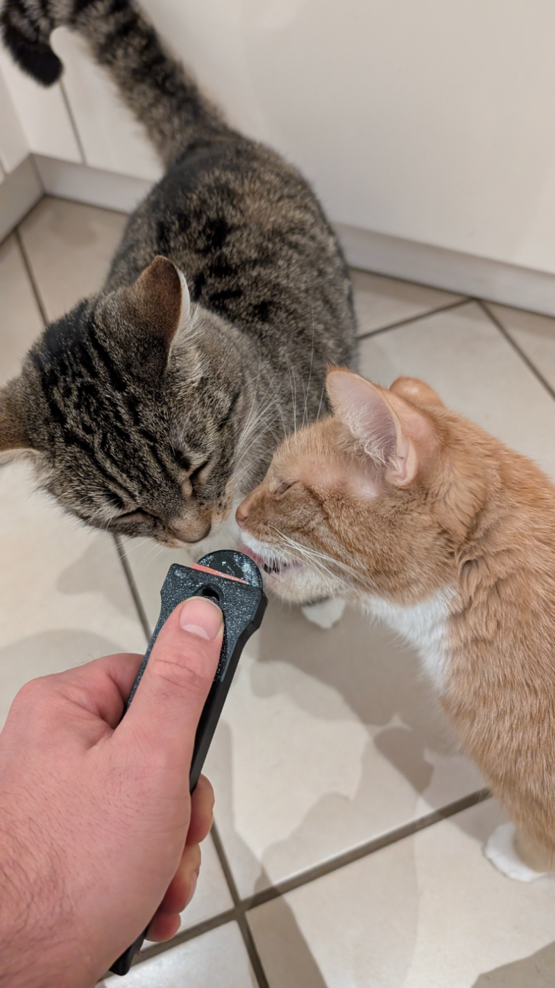 Distributeur de friandises à lécher pour chat