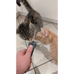 Distributeur de friandises à lécher pour chat