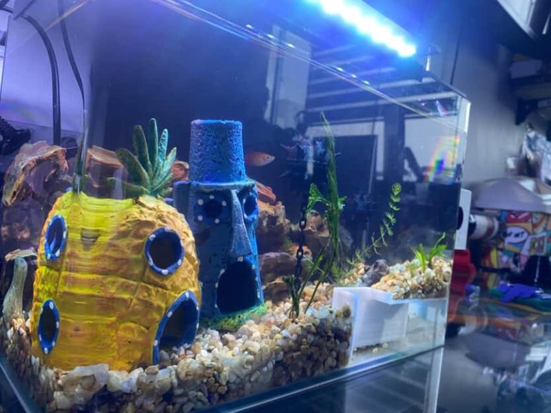 Grotte d'angle pour aquarium