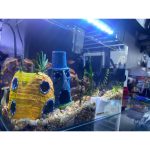 Grotte d'angle pour aquarium
