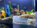 Grotte d'angle pour aquarium