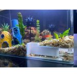 Grotte d'angle pour aquarium