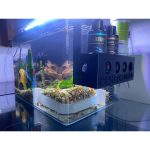 Grotte d'angle pour aquarium