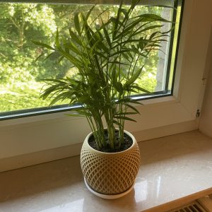 Cache-pot à facettes avec soucoupe — imprimé en 3D