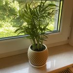 Cache-pot à facettes avec soucoupe — imprimé en 3D