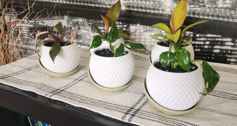 Cache-pot à facettes avec soucoupe — imprimé en 3D