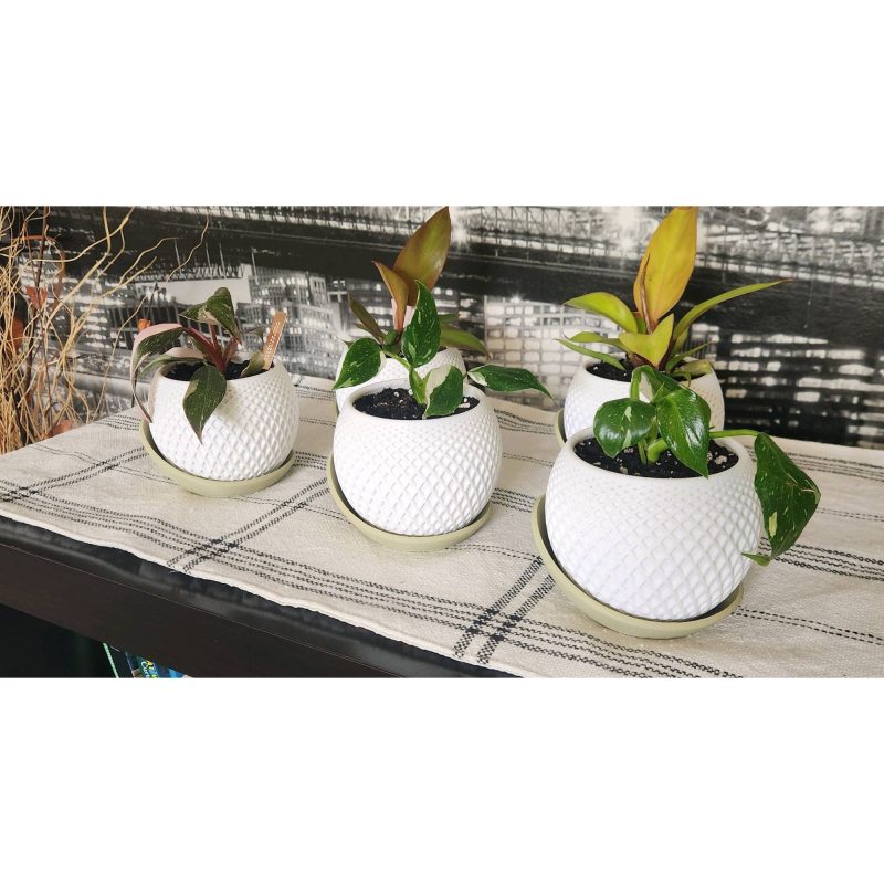 Cache-pot à facettes avec soucoupe — imprimé en 3D