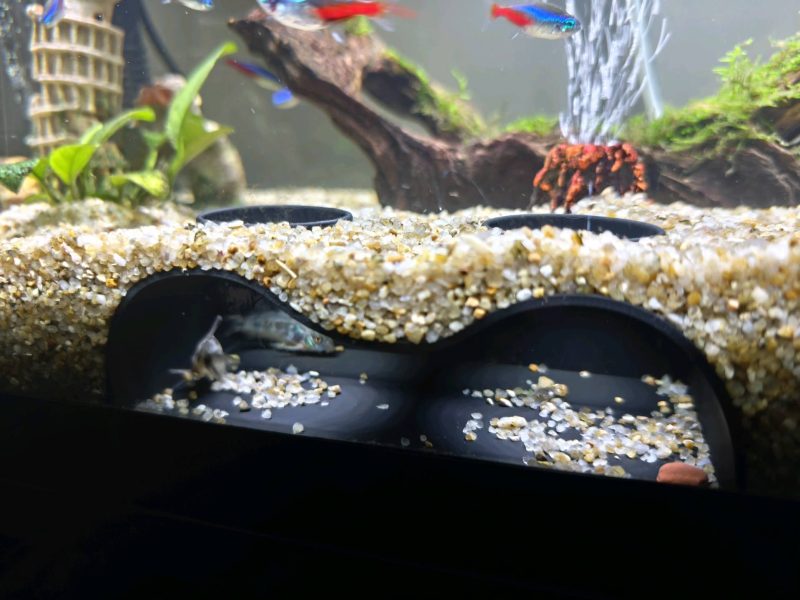 Grotte d'aquarium — grand format