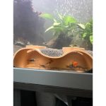 Grotte d'aquarium — grand format