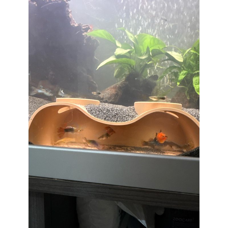 Grotte d'aquarium — grand format