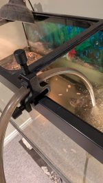 Colliers de tuyau pour aquarium — lot de 2