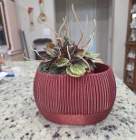 Pot à réserve d'eau avec témoin de niveau — lot de 2