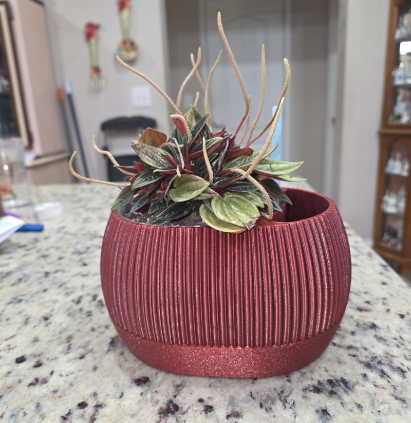 Pot à réserve d'eau avec témoin de niveau — lot de 2