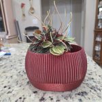 Pot à réserve d'eau avec témoin de niveau — lot de 2