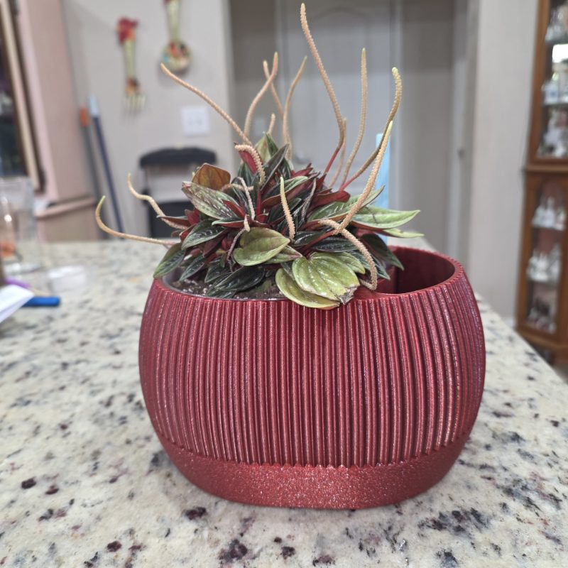 Pot à réserve d'eau avec témoin de niveau — lot de 2