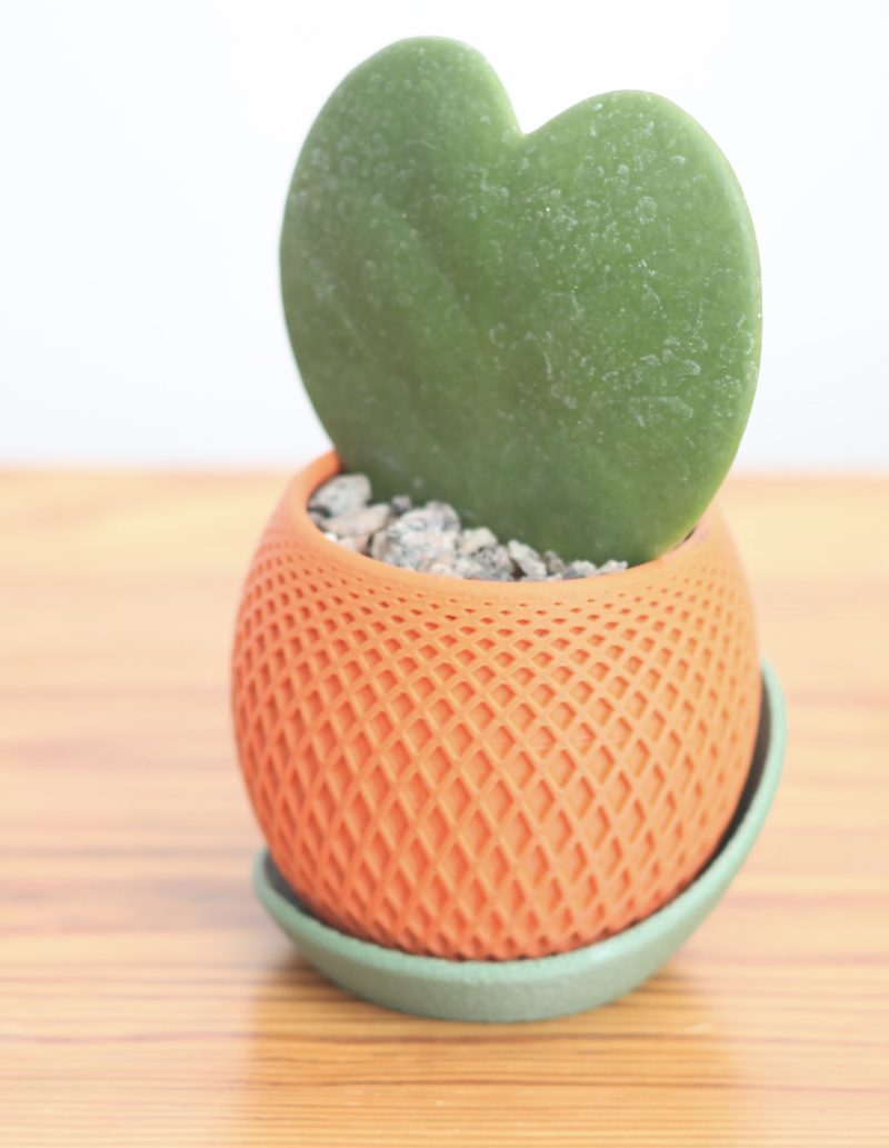 Cache-pot à facettes avec soucoupe — imprimé en 3D