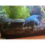 Grotte d'angle pour aquarium