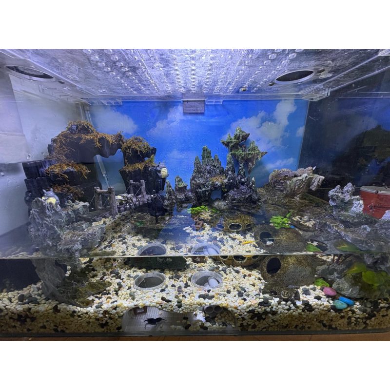 Grotte d'aquarium — grand format