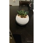 Cache-pot à facettes avec soucoupe — imprimé en 3D