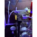 Colliers de tuyau pour aquarium — lot de 2