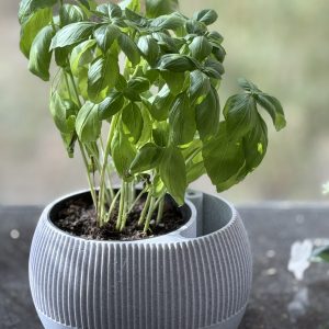 Pot à réserve d'eau avec témoin de niveau — lot de 2