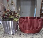 Pot à réserve d'eau avec témoin de niveau — lot de 2