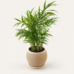 Cache-pot à facettes avec soucoupe, imprimé en 3D, imprimé en 3D par 3D'CLYPSE