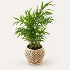 Cache-pot à facettes avec soucoupe, imprimé en 3D, imprimé en 3D par 3D'CLYPSE