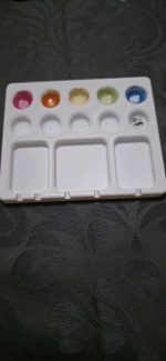 Palette de peinture à godets — lot de 2