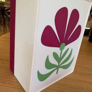 Boîte à couvercle coulissant — lot de 2