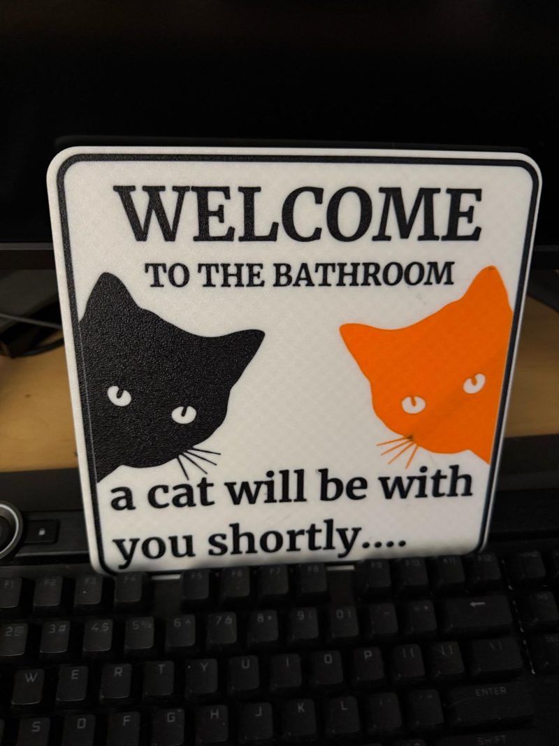 fa46b570-5691-11f0-bcab-f19260c71b98.jpg Plaque de toilettes « un chat va s'occuper de vous »