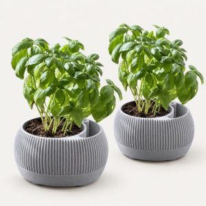 Pot à réserve d'eau avec témoin de niveau, lot de 2, imprimé en 3D par 3D'CLYPSE