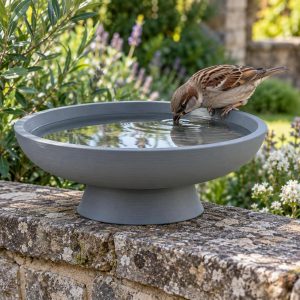Abreuvoir à oiseaux à poser, imprimé en 3D en PLA