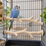 Perchoir pour oiseaux de cage, lot de 2, imprimé en 3D en PLA