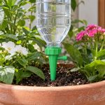 Piques d'arrosage goutte-à-goutte pour bouteille, lot de 4, imprimé en 3D en PLA
