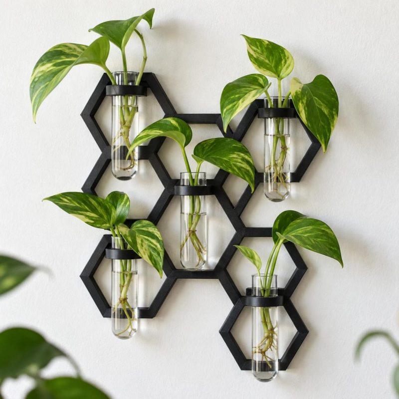 Porte-plantes mural géométrique, pour boutures, imprimé en 3D en PLA